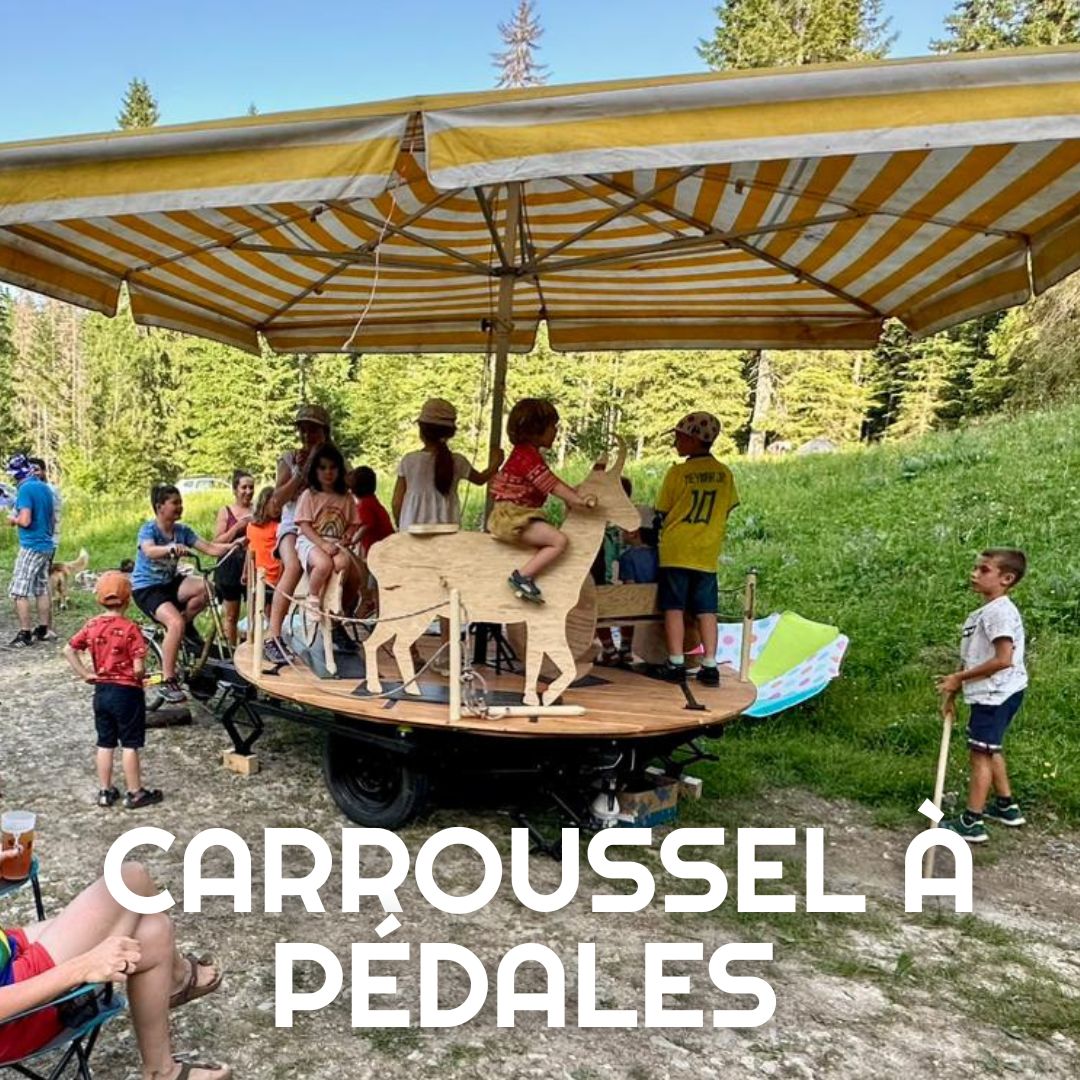 CARROUSSEL-PEDALES Jeux en bois Cri de la Goutte