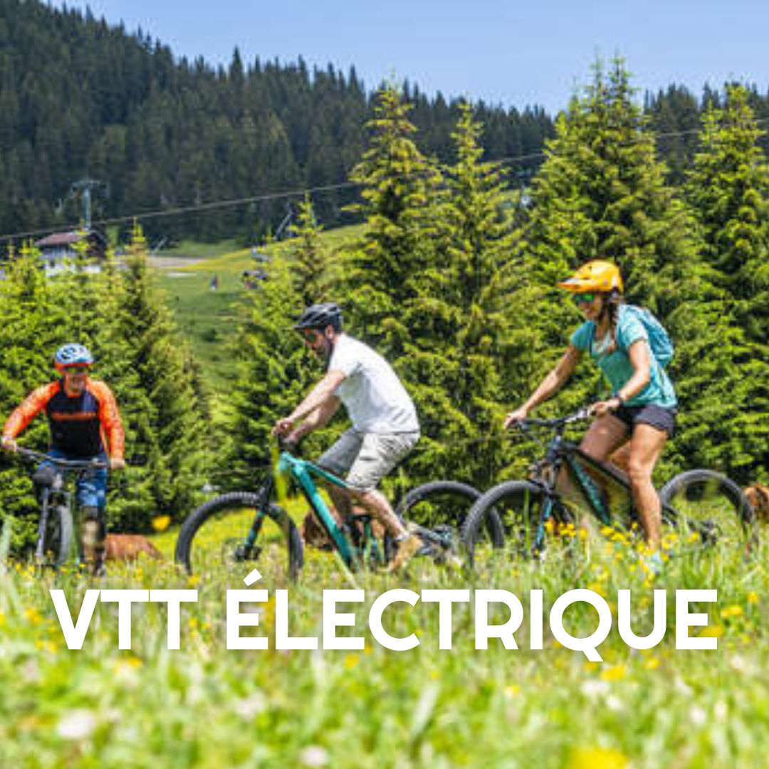 VTT-electrique ESCALADE CRI DE LA GOUTTE