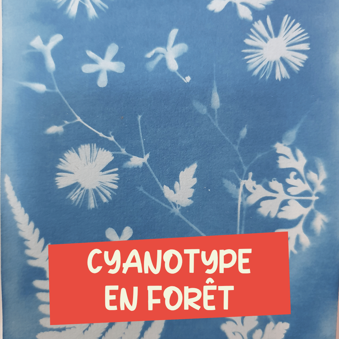 Des fleurs comestibles Cri de la Goutte